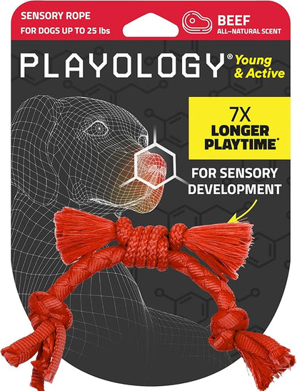 Playology Dog Toys | Puppy Toy Sensory Rope Tug of War Rope for Dogs and Puppies | Small Beef Scented Dog Toy - Easy to Clean and Made from Non Toxic Materials