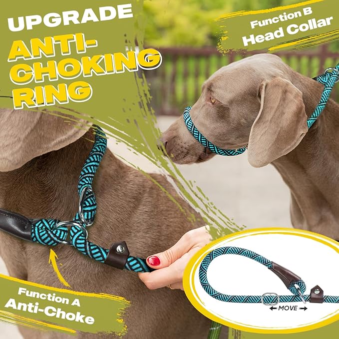 Fida Durable Slip Lead Dog Leash, 6 FT x 1/2" Heavy Duty Loop Comfortable Strong Rope Lead for Large, Medium Dogs, No Pull Pet Training with Highly Reflective, Blue (Pack of 2)