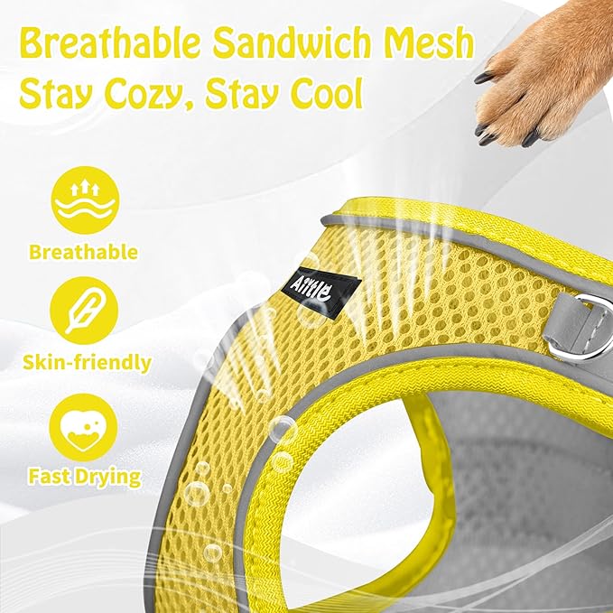 AIITLE Dog Harness, No-Pull Cat Harness with a Leash, Adjustable Reflective Dog Vest, Cat Harness Escape Proof, Outdoor Walking, Running,Training for Extra Small Dogs and House Cats Yellow XXXS