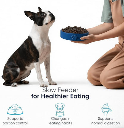 Slow Feeder Dog Bowls – Dog Bowl Slow Feeder – Microwaveable Dog Slow Feeder for All Breeds – Lead and BPA-Free Ceramic Pet Bowl – Pet Feeder for Fast Eaters