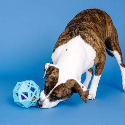 Fringe Studio Sweet ON The Inside Blue Rubber Dog Toy, Pet Shop Collection (518032)