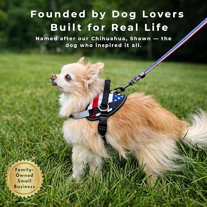 ShawnCo Essential Dog Harness, No-Pull Pet Vest with 3 Leash Clips, No Choke, Reflective, Adjustable and Padded, for Easy Walking and Training for Small, Medium and Large Dogs (Orchid, XS)