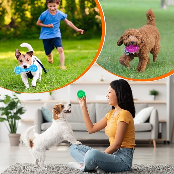 Yunsailing 9 Pcs Dog Squeaky Toys Set, Gift for Dog Squeaky Balls Donut Bone Shape Teething Toys for Small Medium TPR Rubber Pet Chew for Training Fetching Teething