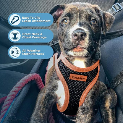 Best Pet Supplies - All Weather Mesh/Plush, Reflective, No Pull Harness for Small, Medium Dogs, Cats - Secure with Hook & Loop Fastener, Buckle, Double D-Rings - Black/Orange Trim, S