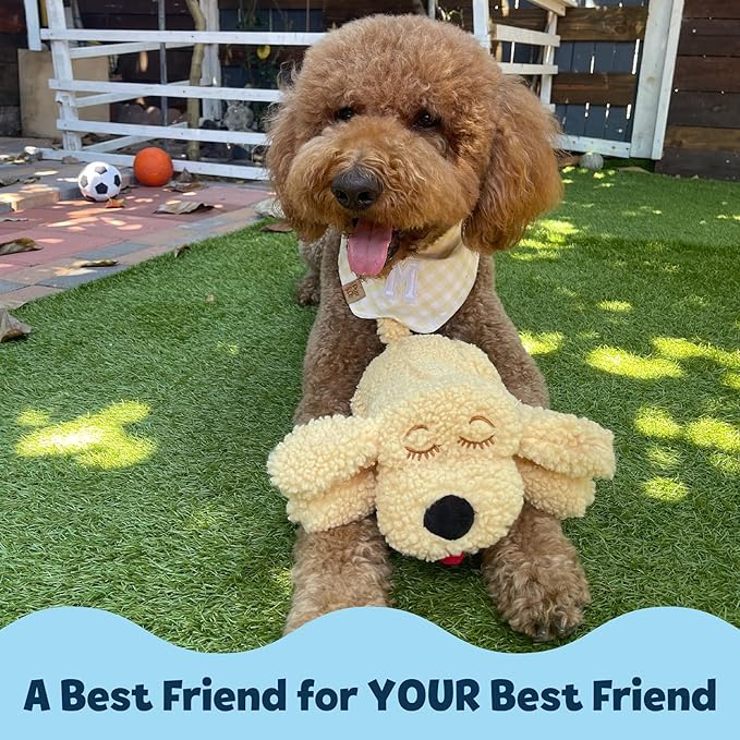Snuggle Puppy Heartbeat Dog Toy for Puppies, Real-Feel Heartbeat, Calming Sleep Aid and Crate Training Comfort Toy with Heat Pack, Medium Breed Buddies Doodle Appearance (Goldendoodle, Poodle Mix)