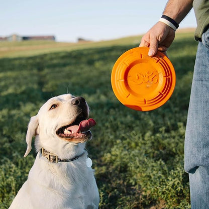 Browning Pet Training Tools, Durable Dog Toys for Tug and Fetch, Clay Pigeon (Orange), One Size