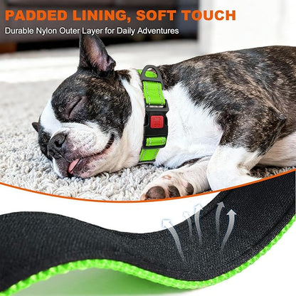 Taglory Reflective Dog Collar with Safety Locking Buckle, Soft Neoprene Padded Dog Collar for Small Dogs, Metal D-Ring, Adjustable Nylon Neck Strap for Daily Walking, Training & Running, Green, S