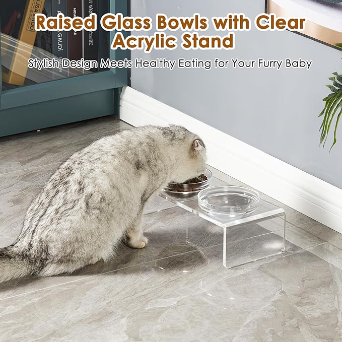 Elevated Acrylic Pet Bowl Stand – Raised Cat & Dog Bowls with 2 Glass & 2 Stainless Steel Bowls, Modern Clear Design, Non-Slip, Easy to Clean, Perfect for Small Pets, 3.75" Tall