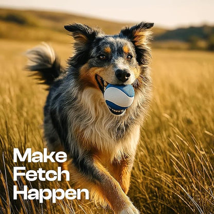 Squeaky Dog Toy – Durable Rubber Dog Ball for Medium & Large Dogs, Tough Interactive Fetch Toy for Chewers, Outdoor Training & Play Ball, Floating Water Play Gift.Ocean