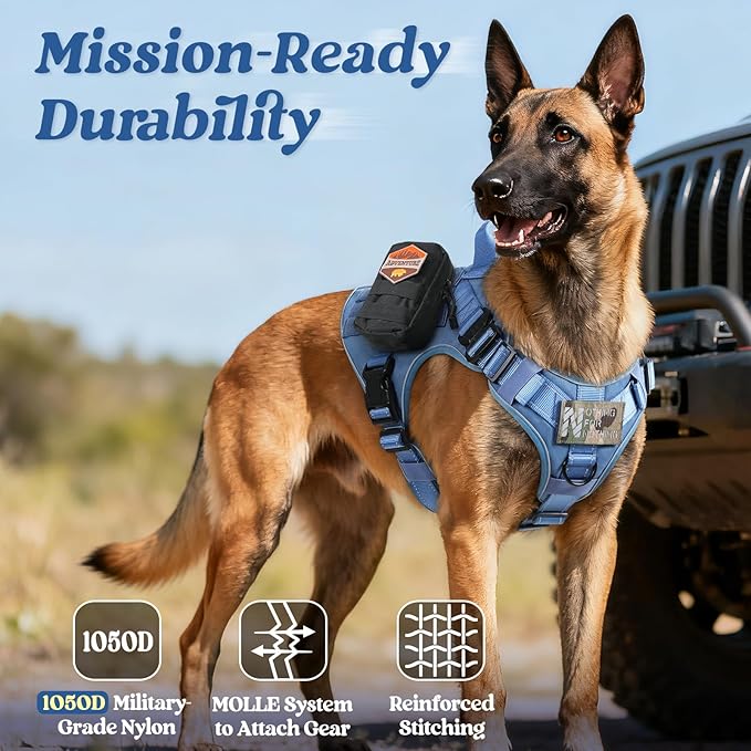 rabbitgoo Tactical Dog Harness for Large Dogs, No Pull Upgraded Reflective Heavy Duty Molle Vest with Handle, Adjustable Military Service Dog Vest for Walking Hiking Training, Blue, XL