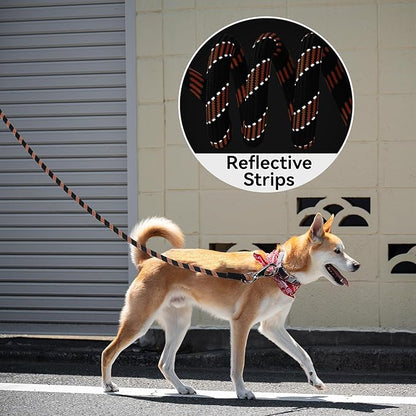 Mile High Life Reflective Dog Leash, with Comfortable Padded Handle, Black Nylon Rope Leash with Steel Tips, Heavy Duty 4 Feet Pet Leashes (Black Orange,48 Inches)