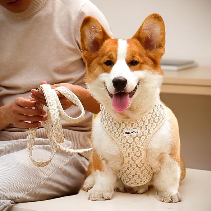 5 FT Stylish Dog Leash, Soft Dog Leashes with Comfortable Padded Handle, Metal Carabiner Clip, Strong No Pull Pet Leash for Small Medium Dogs for Walking, Shopping and Running