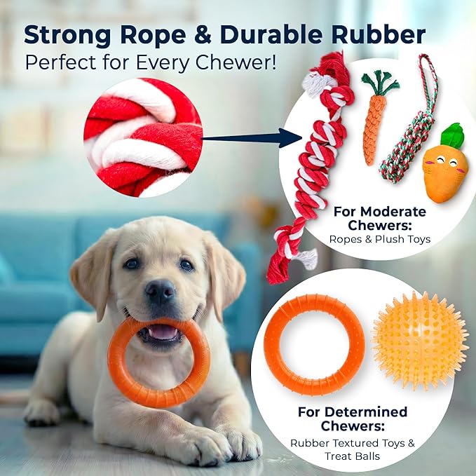Pacific Pups Products 9-Pack Dog Toys for Small & Medium Dogs – Puppy Toys Set with Rope Toys, Chew Toys, Tug Toys, Plush & Squeaky Toys – Dog Toy Variety Pack