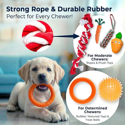 Pacific Pups Products 9-Pack Dog Toys for Small & Medium Dogs – Puppy Toys Set with Rope Toys, Chew Toys, Tug Toys, Plush & Squeaky Toys – Dog Toy Variety Pack