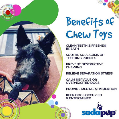 SodaPup Vampire Bat – Durable Dog Chew Toy Made in USA from Non-Toxic, Pet Safe, Food Safe Nylon Material for Mental Stimulation, Clean Teeth, Fresh Breath, Problem Chewing, Calming Nerves, & More
