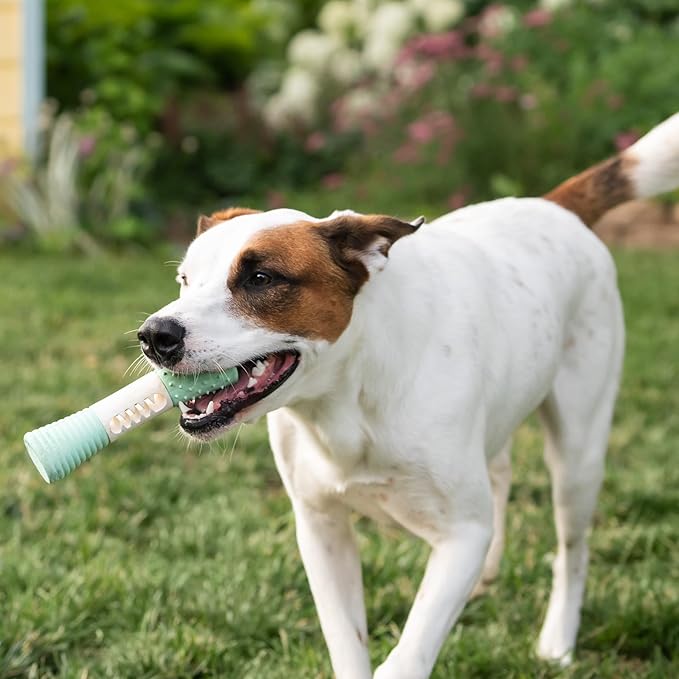Chew King by Mammoth Dental Dog Toy Collection, Stick Clinically Proven to Remove Plaque