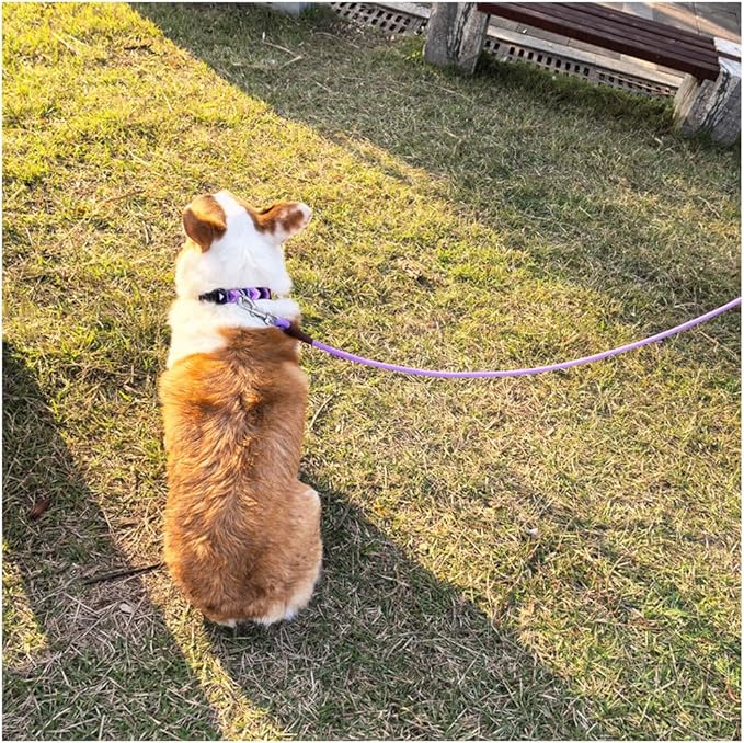 MayPaw 6/8 /10 FT Dog Leash, Classic Solid Colors, Strong Nylon Rope Dog Leash Reinforced with Leather Tailor Connection Heavy Duty Silver Clasp (Purple, 10ft*1/2")