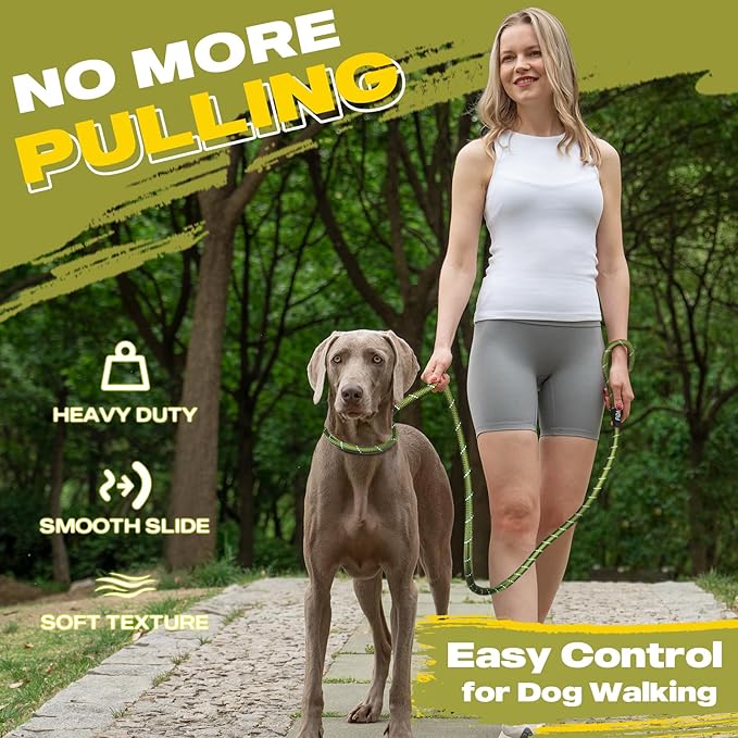 Fida Durable Slip Lead Dog Leash Bulk Pack of 5, Heavy Duty 1/2" x 6 FT Comfortable Strong Rope Slip Lead for Large, Medium & Small Dogs No Pulling Pet Training Leash with Highly Reflective (Mixed)