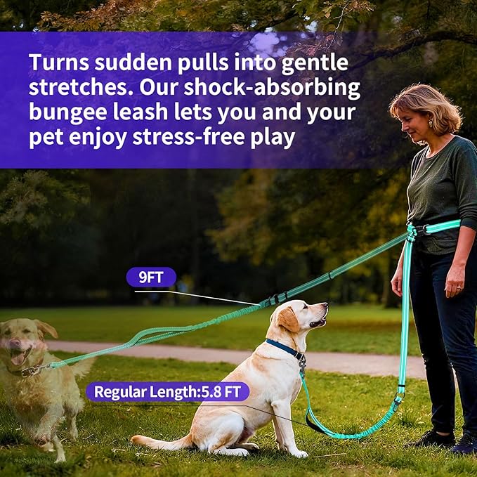 Kazazoo Hands-Free Dog Leash with 6-9FT Adjustable Length - Heavy Duty No Pull Bungee Design, Reflective Safety for Walking, Jogging & Training | Suitable for Medium to Large Dogs Green L