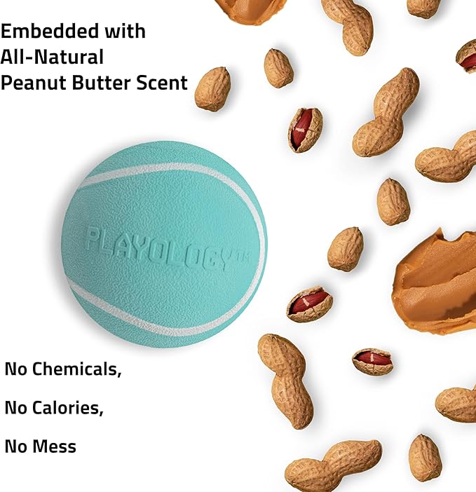 Playology Dog Toys | Squeaky Chew Ball - Bouncy Durable Floating Fetch Ball for Dogs | Medium Peanut Butter Scented Toy - Easy to Clean and Made from Non Toxic Materials