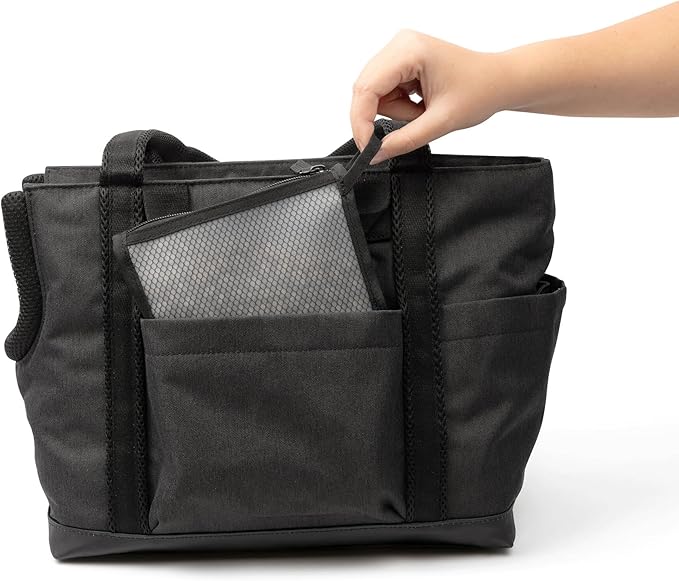 Cleverpup Transit Tote Dog Carrier for Small Dogs Under 8 lbs, 16x11x8 Soft-Sided 4-Pc Set with Waterproof Base, Plush Insert, Food Pouch, Mesh Head Opening - Small, Graphite Graphite