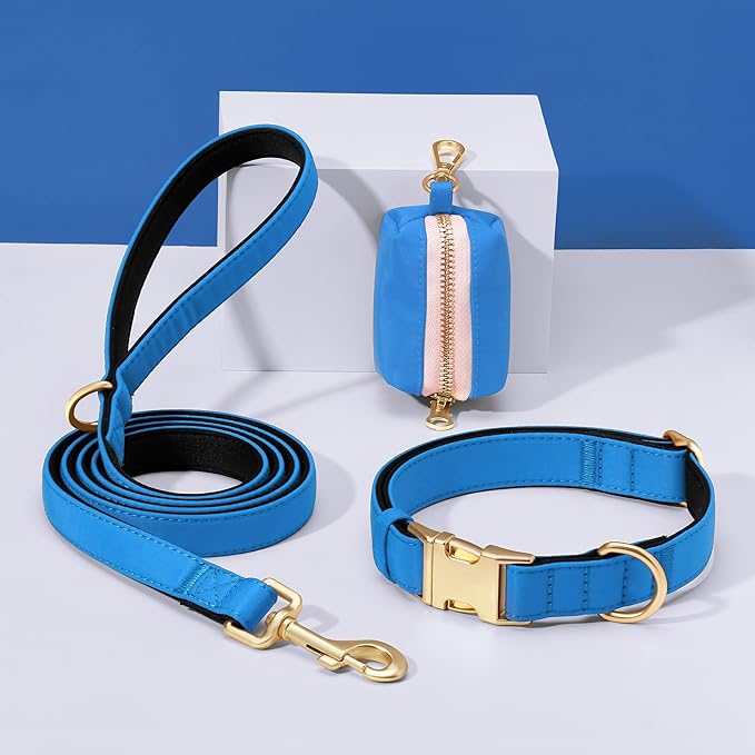 Didog 5FT Colorful Nylon Dog Leash with Soft Full-Length Padding, Lightweight and Durable Pet Leash for Small Dogs, Blue, S
