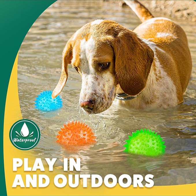 2 Different Functions Interactive Ball for Dogs 2.5” Squeaky Dog Balls Toys and Puppy Teething Chew Toy Balls for Small Dogs for Clean Teeth and Training （5Pcs）