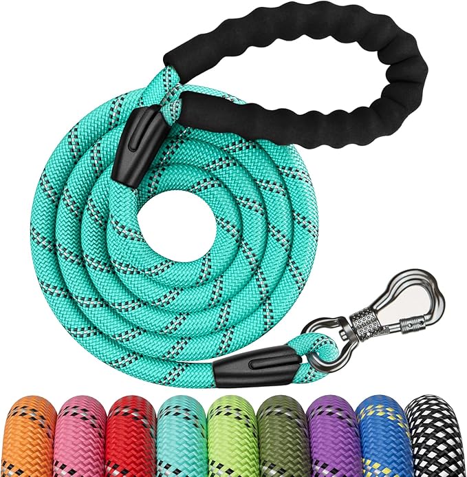 NTR 6FT Heavy Duty Dog Leash, Teal Rope with Swivel Lockable Hook and Comfortable Padded Handle, Cat & Dog Leash for Small to Large Dogs, Training, Playing, Camping, or Backyard