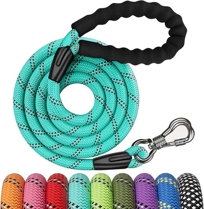 NTR 6FT Heavy Duty Dog Leash, Teal Rope with Swivel Lockable Hook and Comfortable Padded Handle, Cat & Dog Leash for Small to Large Dogs, Training, Playing, Camping, or Backyard