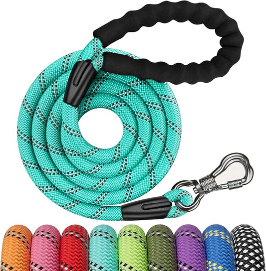 NTR 6FT Heavy Duty Dog Leash, Teal Rope with Swivel Lockable Hook and Comfortable Padded Handle, Cat & Dog Leash for Small to Large Dogs, Training, Playing, Camping, or Backyard