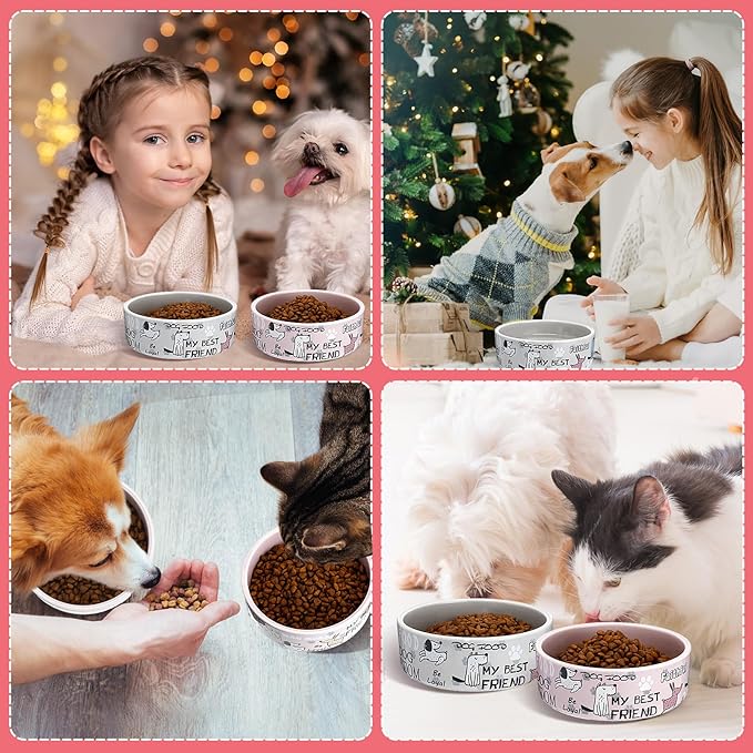 Maxcheck 2 Pcs 5 Inch Ceramic Dog Bowls Dishes for Small Dogs Cute Cartoon Pattern Puppy Cat Bowls Heavy Food Water Dishes for Pets Feeding Travel, Dishwasher Safe Microwave Safe(Pink and Gray)