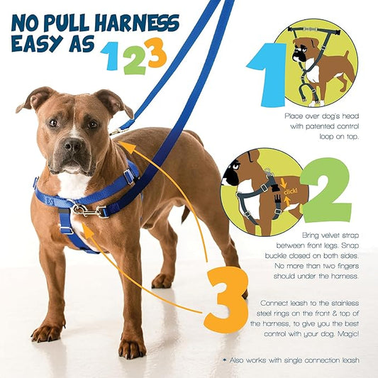 2 Hounds Design Freedom No Pull Dog Harness, Adjustable Harness and Leash Set, Easy Walking & Comfortable Control, Fits Small, Medium & Large Dogs, Solid Colors, Made in USA, 1" LG, Navy