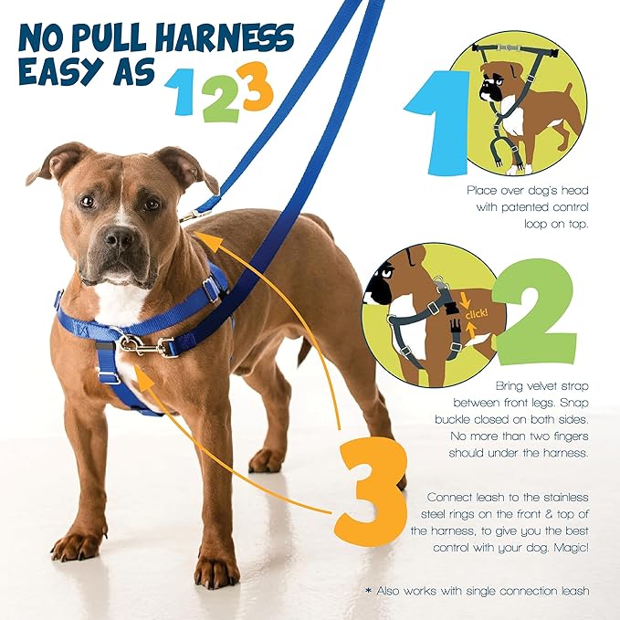 2 Hounds Design Freedom No Pull Dog Harness, Adjustable Harness, Easy Walking & Comfortable Control, Fits Small, Medium & Large Dogs, Solid Colors, Made in USA, 5/8" MD, Teal