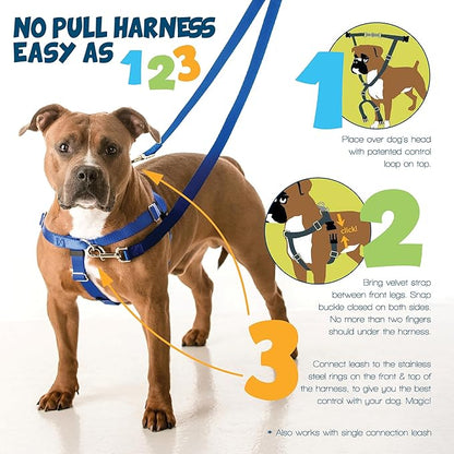 2 Hounds Design Freedom No Pull Dog Harness, Adjustable Harness, Easy Walking & Comfortable Control, Fits Small, Medium & Large Dogs, Solid Colors, Made in USA, 1" XL, Neon Organge