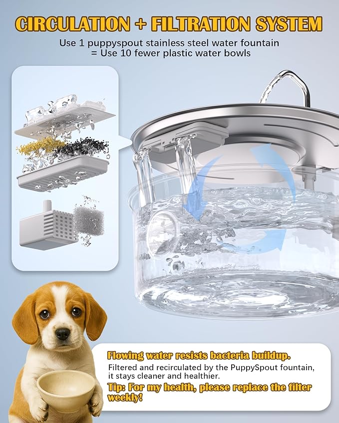 Stainless Steel Dog Water Fountain – 8L/270oz Automatic Waterer with Quiet Pump for Medium/Large Dogs, Cats & Multi-Pet Homes, Visible Water Window & Easy to Clean