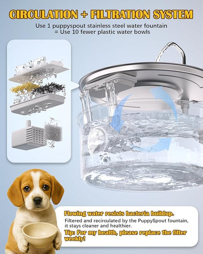 Stainless Steel Dog Water Fountain – 8L/270oz Automatic Waterer with Quiet Pump for Medium/Large Dogs, Cats & Multi-Pet Homes, Visible Water Window & Easy to Clean