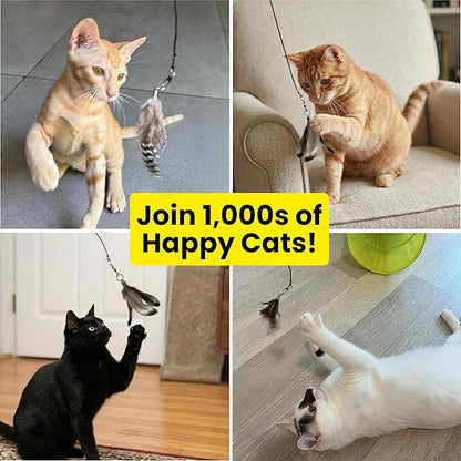 Cat Feather Toy Refill 9-Pack - Natural Feather Cat Toy - Small Size Cat Wand Attachments - Official Cat Toy Feather Replacement for Forever Stick Cat Wand Toy - Cat Wand Refill - Cat Lure and Teaser