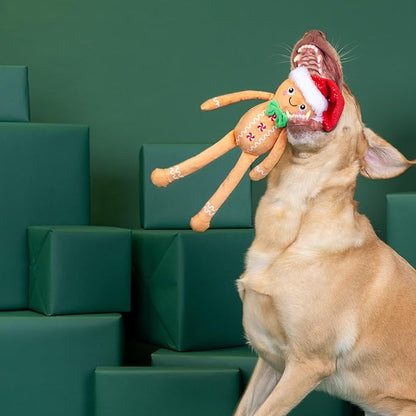 Fringe Studio Pet Toy, Seasons Eatings! Gingerbread Santa Plush Dog Toy, PetShop Collection (314468)