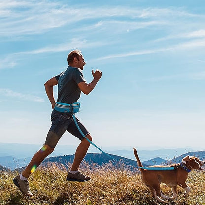 Kruz Hands Free Dog Leash (Waist 26”- 48”, Leash- 1”x 5ft) Premium Waist Belt for Walking, Running & Hike Bungee with Dual Handles, Adjustable Fit, Reflective Safety Design for Large Dogs (Turquoise)