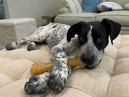 Nylabone Original Knuckle Bone Flexi Chew Toy for Dogs, Flexible Dog Toys for Moderate & Gentle Chewers, Chicken Flavor, X-Large - 50+ lbs, 1 Count