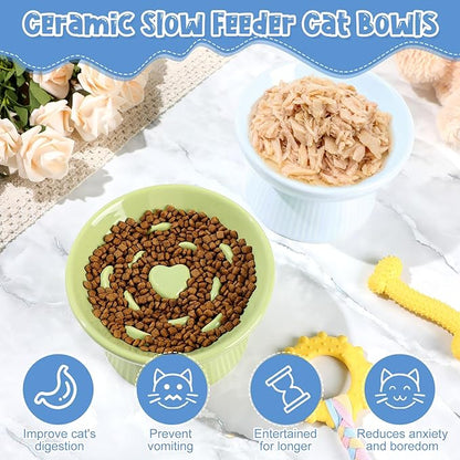 Tioncy 2 Pcs Raised Cat Slow Feeder Bowl Ceramic Elevated Cat Dog Food Bowl No Spill High Edge for Dry Wet Food and Water Easy to Clean, Dishwasher Safe (Green,Blue)