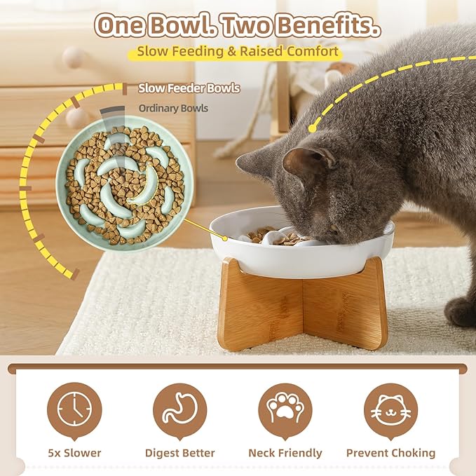 Elevated Slow Feeder Cat Bowl - Melamine Cat Food Plate with Anti-Slip Bamboo Stand - Whisker Friendly Feeding Bowl - Raised Maze Dish for Slow Eating - Ivory White