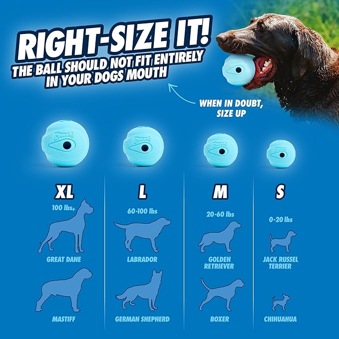 Chuckit! The Whistler Ball Dog Toy, Medium (2.5 Inch Diameter) for Dogs 20-60 lbs, Pack of 2, Multicolor