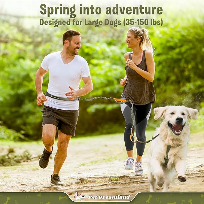 Pet Dreamland Exquisite Hands Free Leash for Large Dogs. Ultimate Comfort & Freedom for Running, Walking and Hiking. Premium Quality, Durable & Versatile Dog Walking Belt. Your Dog Will Love It.