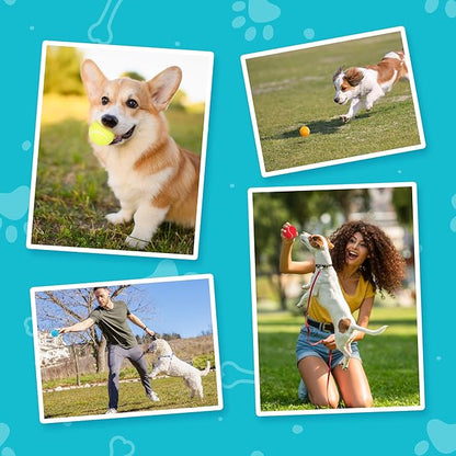 Prime Pets Squeaky Dog Tennis Balls 12 Pack, 2.5” Durable High-Bounce Tennis Balls for Dogs, Dog Ball for Fetch & Training, Outdoor Interactive Dog Toy Ball for Small and Medium Dogs