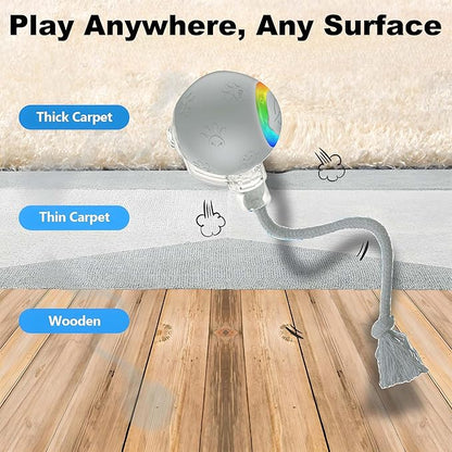 Quibron Interactive Cat Ball Toy with Flashing Lights & Bird Sounds - Multi-Surface Adaptive Roller, USB Rechargeable Motion-Activated Cat Teaser for Indoor Cats, Smart Enrichment Gift (Grey)