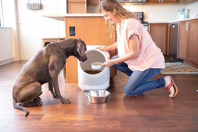 Vittles Vault Traditional Pet Food Storage Container For Dog Kibbles/Bird Seed/Oatmeal/Rice/Flour/Cereal, BPA Free Plastic, Sealed Airtight For Cat Food, Up To 60 lb, Made in USA, With Scoop, Gray