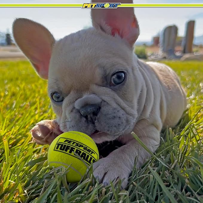 PetSport Jr Tuff Ball - Small Tennis Balls for Dogs, Great for Boredom & Aggressive Chewers, Dog Toy, Mini Tennis Balls for Small Dogs, Certified Non-Toxic, Won't Wear Down Teeth - 1.8" (24 Pack)