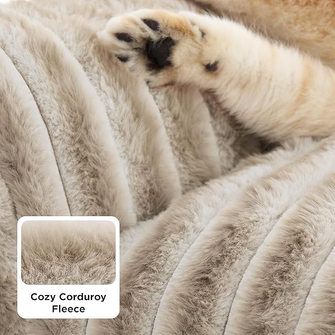 Bedsure ComfyFleece Cute Dog Couch for Medium Dogs- Fluffy Pet Sofa, Dog Couch Bed with Removable, Washable Cover, Supportive Pet Bed for Medium Large Dogs, 36inch, Amphora