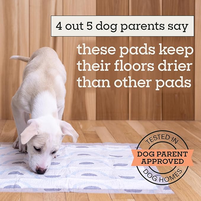 Pet Life Unlimited Smart Prints Large Puppy Pads for Dogs, Potty Training Pee Pads, 42 Count, 22" x 22", Leak-Proof, Super Absorbent, Quick-Dry, Patterned Pads with Odor Control, Made in USA